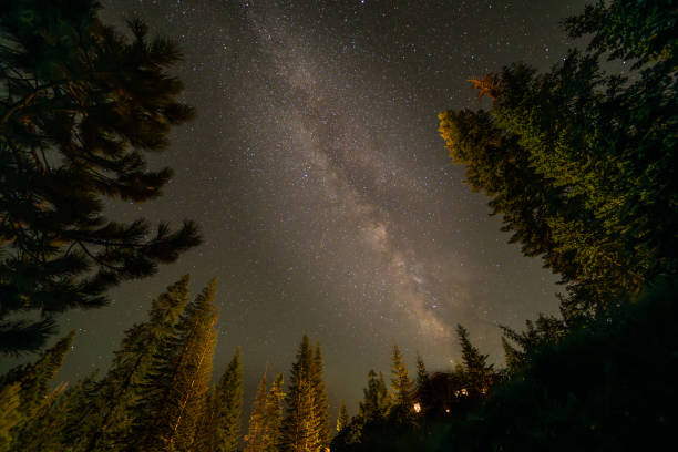 As the countless sparkles in the sky glow to form the cloud-like Milky Way, we stargaze from under the giant Sequoia trees of the National Park.  Also visible in this shot is a glowing cabin with illuminated windows.  This wonderfully adds a human touch, without completely ruining the sky scene with light pollution.