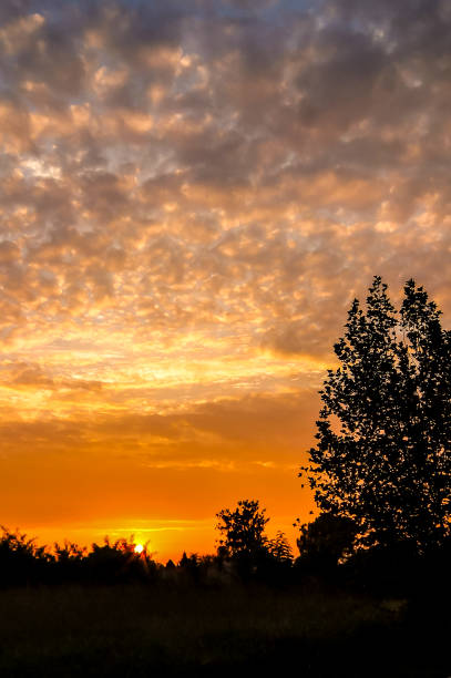istock A beautiful sunset with a tree in the background 2171019438