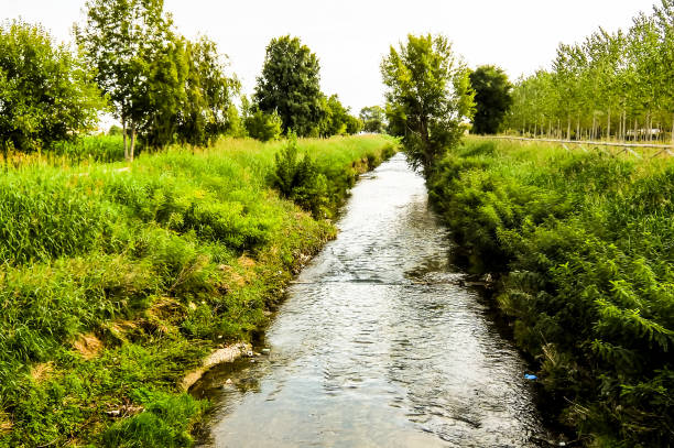 istock A river with a green bank and trees on either side 2171019440