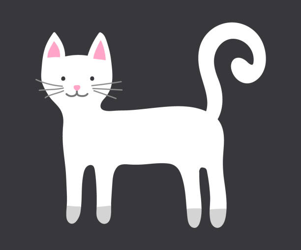 istock Collection of cat icons isolated on white background. Vector illustration 2171020024