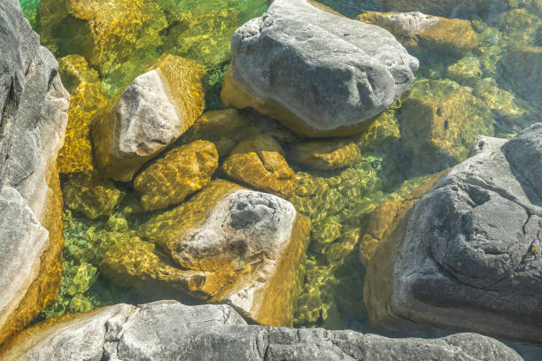Afternoon light on rocks, Tobermory Canada