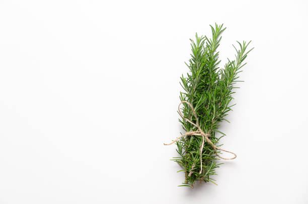 istock A bunch of rosemary twigs. 2171022279