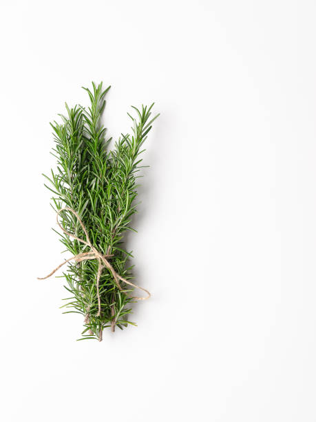 istock A bunch of rosemary twigs. 2171022281