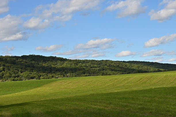 green landscapes with blue sky