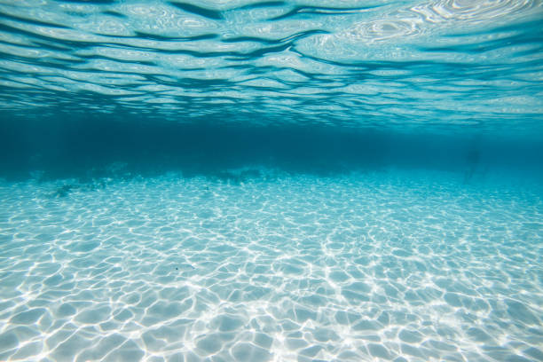 istock Clear bright underwater white sand beach Mediterranean waters in Blue Lagoon, Malta Island 2171030871