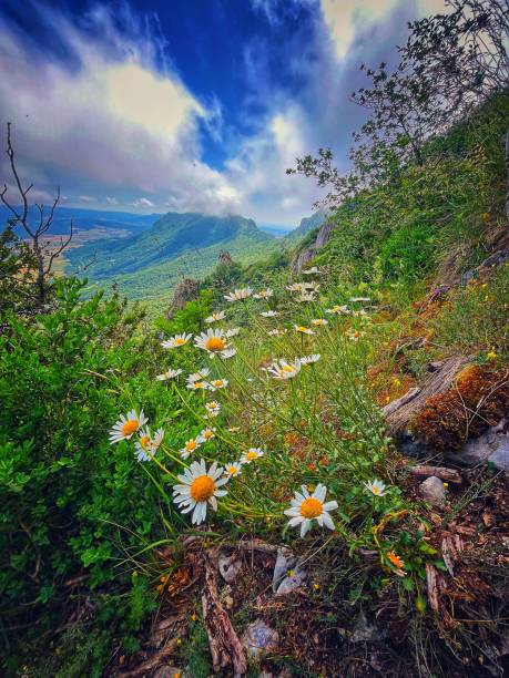 At the path to Palomares