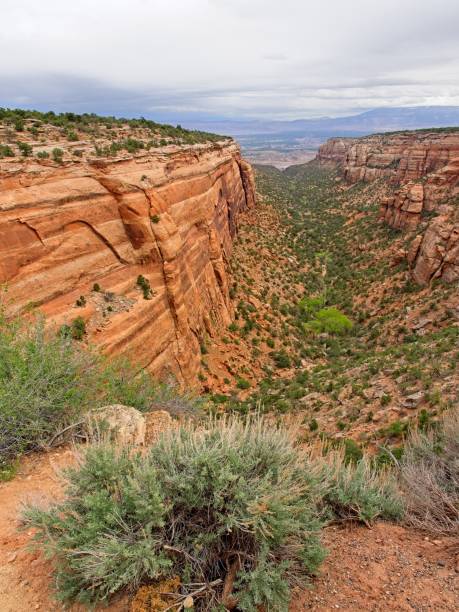 istock Atmospheric mood over a canyon in Colorado National Monument 2171034043