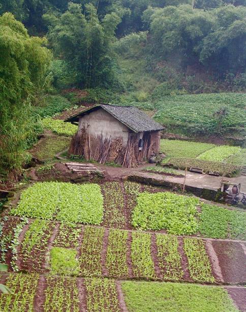 istock Rural Chinese Farm 2171037306