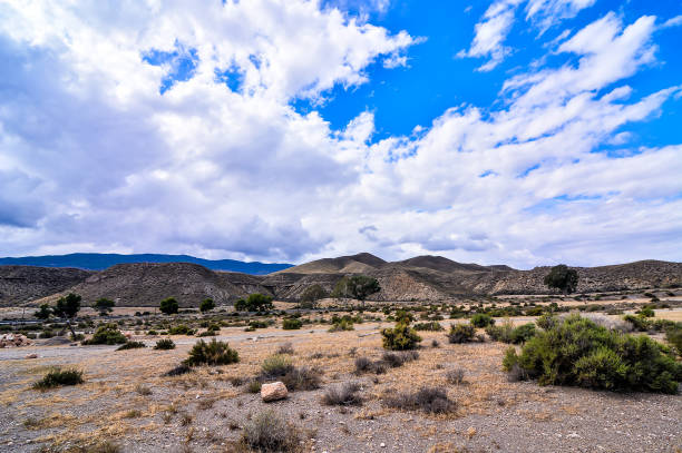 istock A desolate desert landscape with a few trees scattered throughout 2171041052