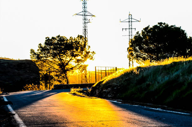 A road with a tree on the side and a power line pole in the background. The sun is setting and the sky is orange