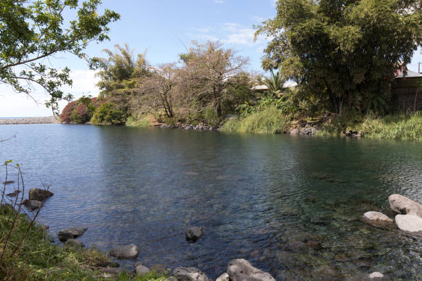 View of small river  arriving at sea in La Reunion