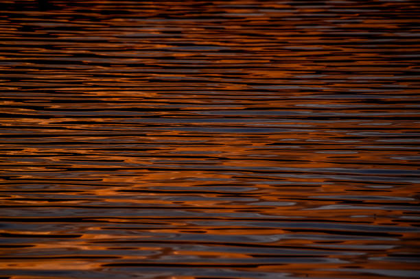 The water is brown and has ripples. The ripples are in different sizes and are spread out across the water