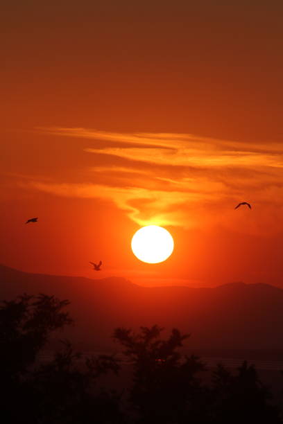 istock Golden Dusk Beneath a Cloudy Sky 2171047429