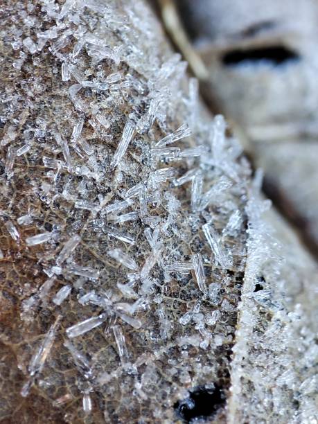istock Ice crystals across the whole surface of a dead leaf. 2171062756