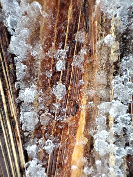 istock Frozen rain stuck to a fence. 2171062778