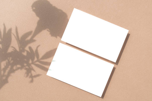 istock Plant Shadow and Business Card Mock-up 2171071779