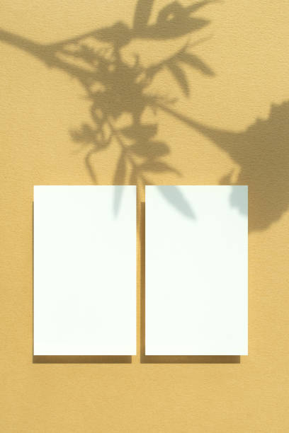 istock Plant Shadow and Business Card Mock-up 2171071781