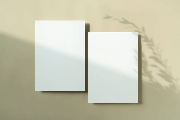 istock Plant Shadow and Card Mock-up 2171071789