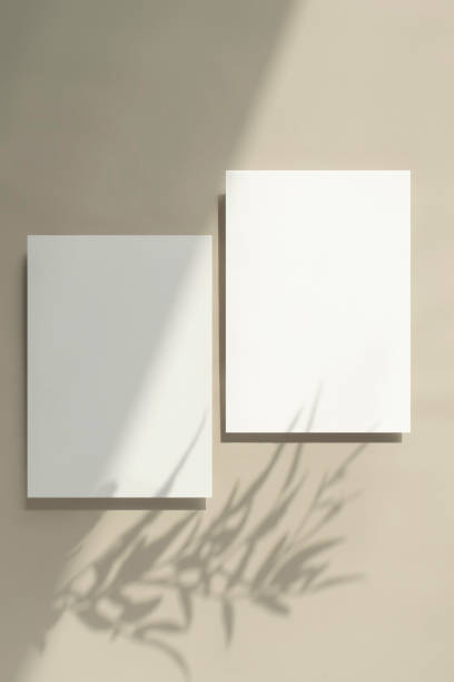 istock Plant Shadow and Card Mock-up 2171071791