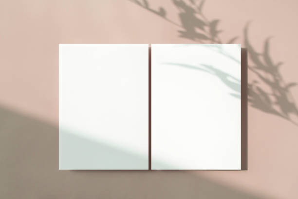 istock Plant Shadow and Card Mock-up 2171071792