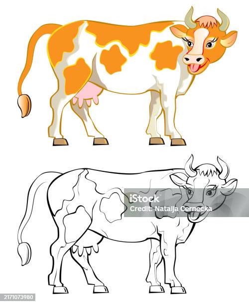 Pola Sapi Pola Sapi Yang Berwarnawarni Dan Hitam Putih Gambar Kartun Vektor Buku ...