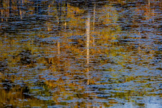 Colorful reflection at the pond