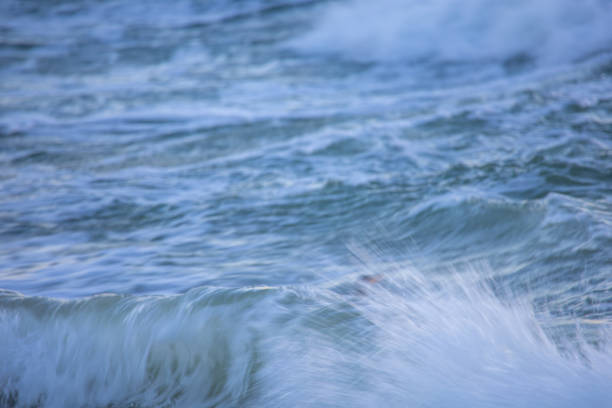 Waves formed in the sea