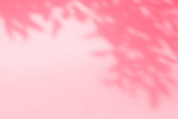 istock Wall interior background, studio, and backdrops show products. with shadow from window color white and pink light. background for text insertion and presentation of product 2171084689