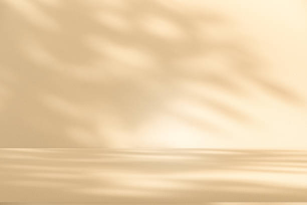 istock Studio style background wall decoration presentation uses white and beige tones. with shadows cast from a nearby window, concept creating a decorative 2171084691