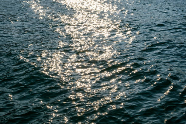 istock Sunset Reflections, Rippling Water Surface with Golden and Blue Hues at Evening sea wave abstract texture sunlight blue and golden pattern blurred background. 2171090456