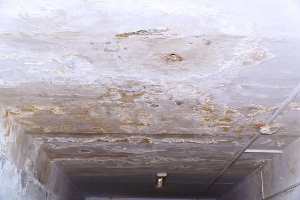 istock Ceiling in need of repair. On the ceiling, dirt and cracks 2171091172