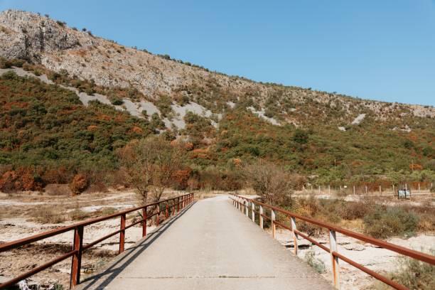 istock Scenic view of a pathway leading to a mountain, surrounded by greenery under a blue sky 2171092975