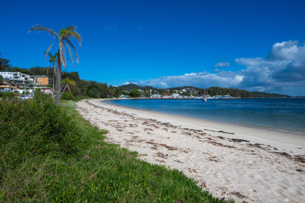 istock Nelson Bay Beach in Australia 2171098309