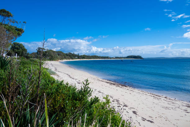 Shoal Bay, Australia, where pure white sand beaches meet the lush green tropical rainforest.