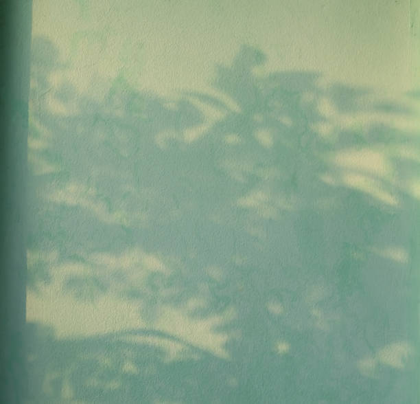 istock Green background shadow light overlay blur nature on cment floor wall backdrop, minimal room for presentation product tropical or ecosystem environment organic, platform empty abstract pastel. 2171098994
