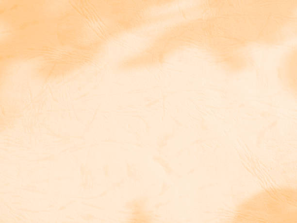 istock Backgrund summer beige overlay abstract summer sun shadow leaf white gradient color blur room cement floor wall backdrop mockup product beauty cosmetic presentation minimal empty card tropical. 2171099002