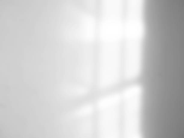 istock Shadow light summer background sunight overlay nature on room cement wall floor abstract blur muckup effect grey minimal platform for presentation product backdrop, wallpaper template display. 2171099011