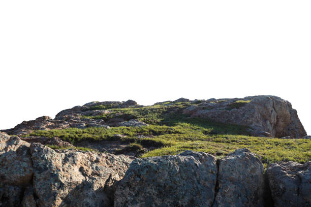 istock Rock and green grass isolated on white backaround 2171099147