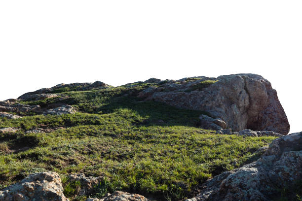 istock Rock and green grass isolated on white backaround 2171099317
