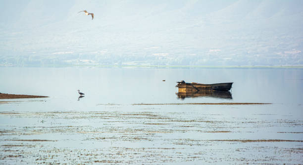 istock Boat and heron in serene Lake Kerkini 2171099404