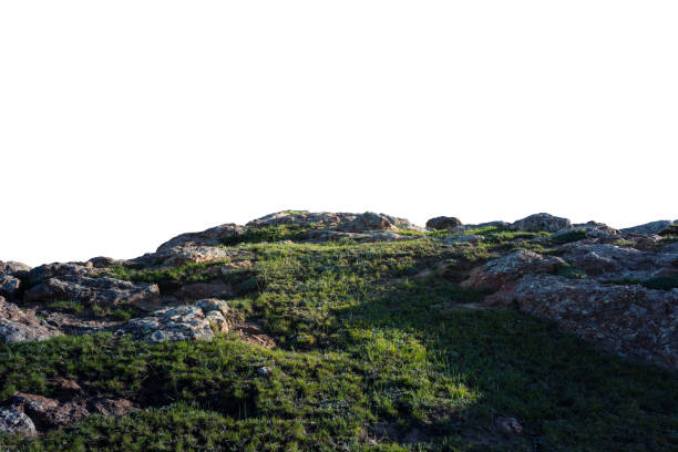 istock Rock and green grass isolated on white backaround 2171099406