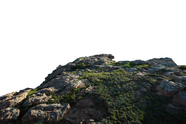 istock Rock and green grass isolated on white backaround 2171099466