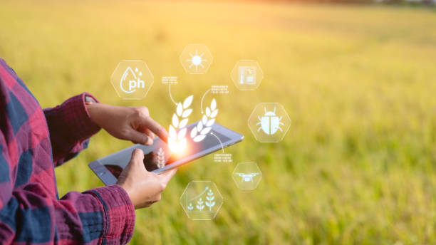 istock Asian farmers are using digital tablets in cultivated fields with smart farming interface icons and a light flare sunset effect. Smart and new technology for agriculture business concept. 2171100715