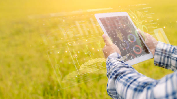istock Asian farmers are using digital tablets in cultivated fields with smart farming interface icons and a light flare sunset effect. Smart and new technology for agriculture business concept. 2171100716