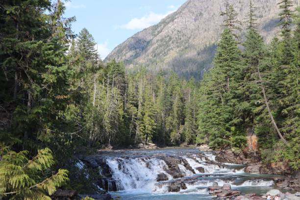 istock Mountain landscape with a waterfall and dense forest. 2171101686