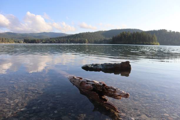 istock Scenic Lake with Driftwood and Mountain Backdrop 2171101785