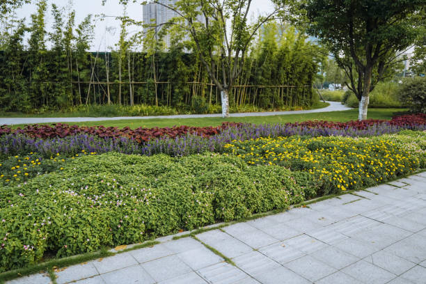 istock Urban gardening, urban greening. 2171106495