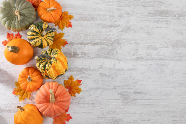 istock Autumn Background with Pumpkins 2171110505