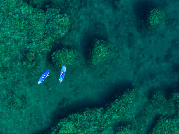 istock Drone shot of two men doing paddle boarding among coral reefs 2171113792