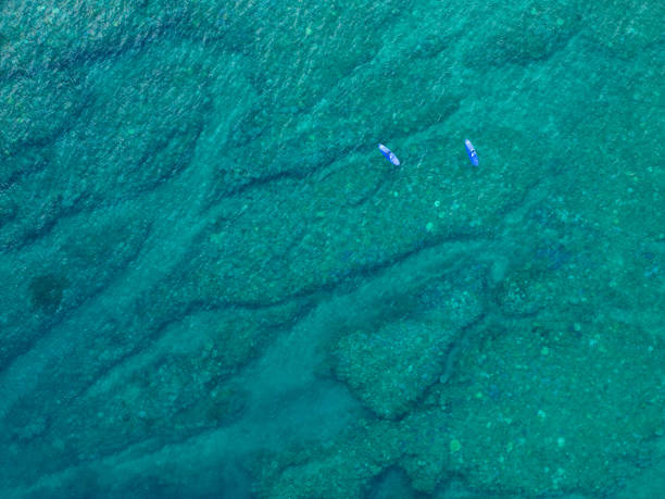 istock Drone shot of two men doing paddle boarding among coral reefs 2171113811